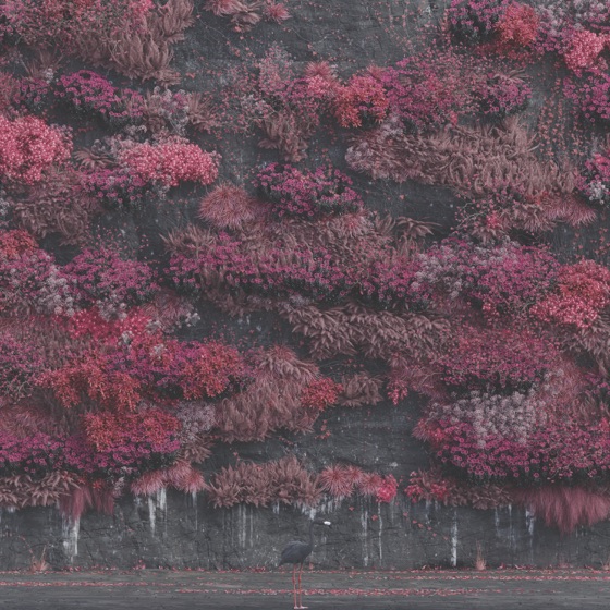 SLEEP TOKEN - EVEN IN ARCADIA