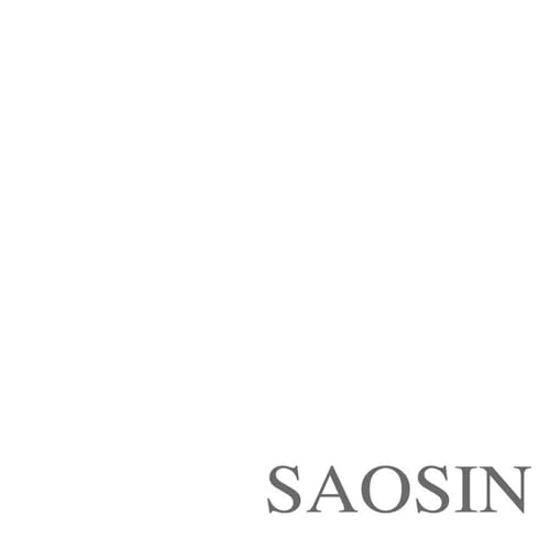 SAOSIN - TRANSLATING THE NAME